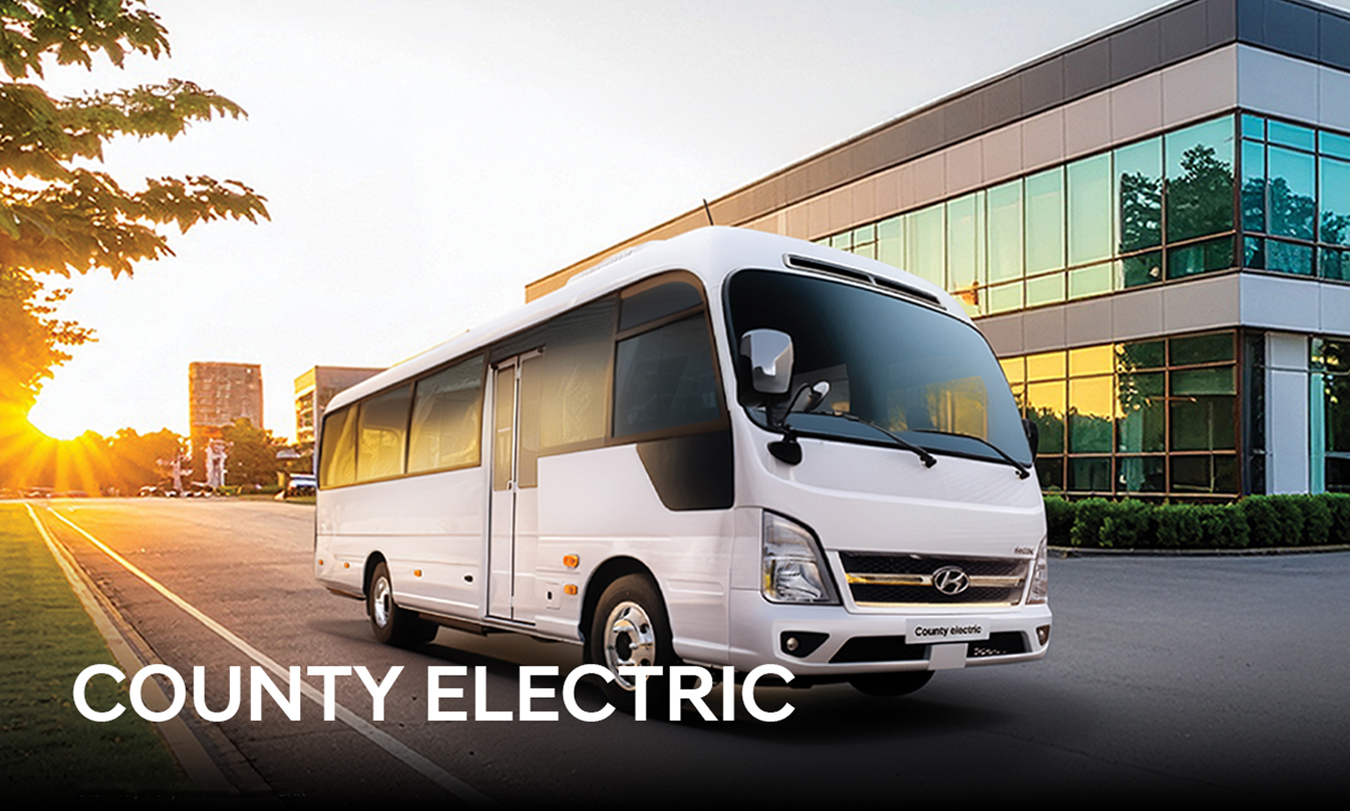 Hyundai Hyundai County Electric